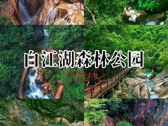 -广州白江湖森林公园