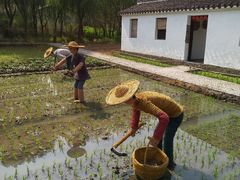 -溱湖国家湿地公园