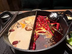 -大龙燚·旷野鲜火锅(广州首店)