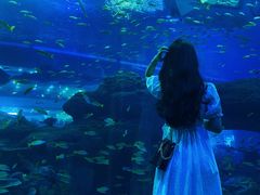 -成都浩海立方海洋公园