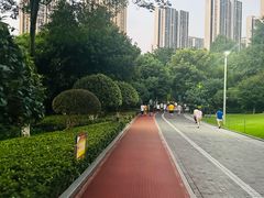 -龙头寺公园