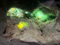 -湖南省地质博物馆