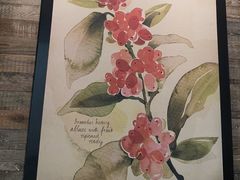 -星巴克(南京商厦店)