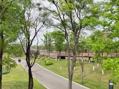 -府河摄影公园