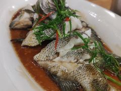 -鑫阿强海鲜大排档·老厦门特色菜(中山路店)