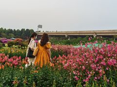 -秀丽东方