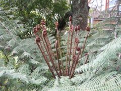 -怀托摩萤火虫洞