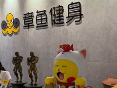 -章鱼健身 Octopus