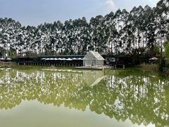 -三圣花乡旅游区