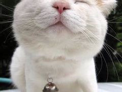 -CGV影城(梅江ScreenX店)