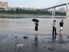 -大渡口区义渡公园