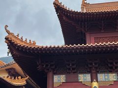 -深圳仙湖植物园