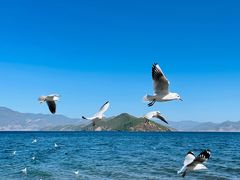 -丽江泸沽湖景区