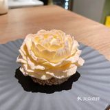 为一朵花从杭州到上海[馋]