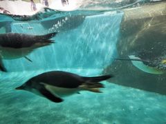 -沈阳海洋探索中心