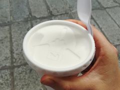 -洪馨椰子