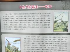 -嘉荫恐龙国家地质公园