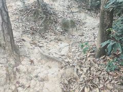 -西湖风景区十里琅珰-五云山