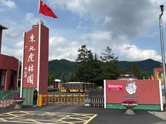 -横道河子东北虎林园
