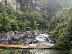 -石台牯牛降景区