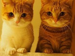 -菲滋意式餐厅(金华银泰城店)