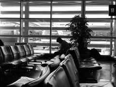 -厦门高崎国际机场-T3航站楼