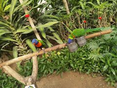 -南宫五洲植物乐园