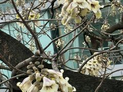 -苏州河梦清园环保主题公园