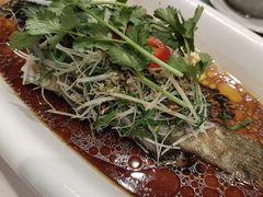 -桃源春晓中餐厅 TaoYuan Restaurant