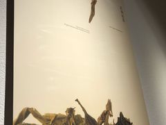 -煮叶(悠唐广场店)