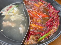 -阳阳老火锅(小南门店)