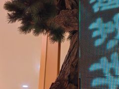 -桂满陇·蟹黄小笼汤包(中山公园店)