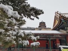 -颐和园