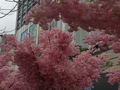 -东莞松山湖万象汇