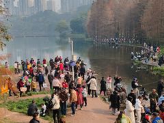 -重庆彩云湖湿地公园