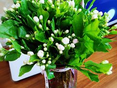 -秦美花卉(天朗·莱茵小城2期店)