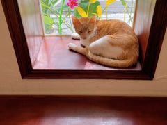 -初甜·舒芙蕾·韩式雪花冰(流塘店)