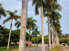 -厦门大学(思明校区)