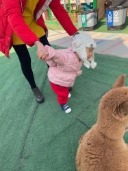 -萌宠亲子动物乐园(槐房万达店)