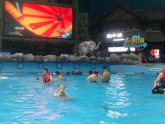 -青岛东方影都融创水世界