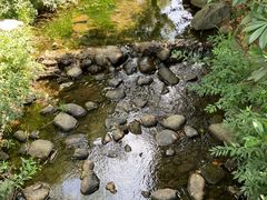 -白马涧龙池景区