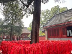 -红螺寺