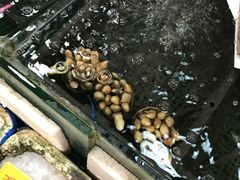 -鸿达渔港