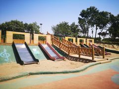 -大兴滨河森林公园