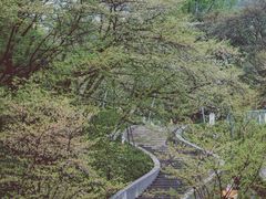 -杭州少年儿童公园