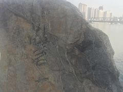 -襄阳城墙