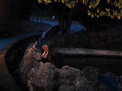 -清迈夜间动物园