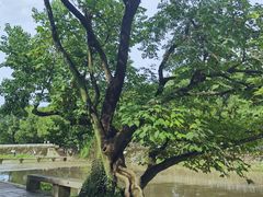 -兰亭风景区