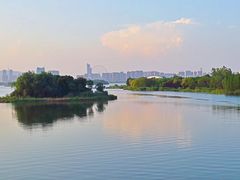 -长广溪湿地公园