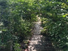 -崂山巨峰游览区